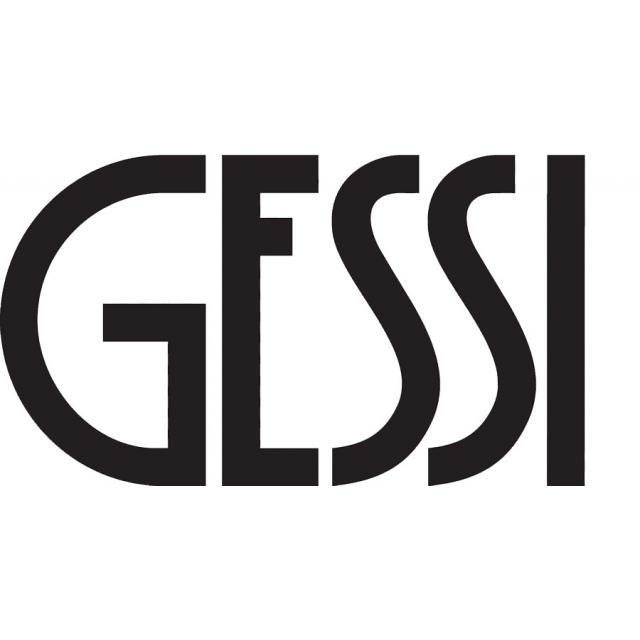 GESSI 1 640x471 - GESSI